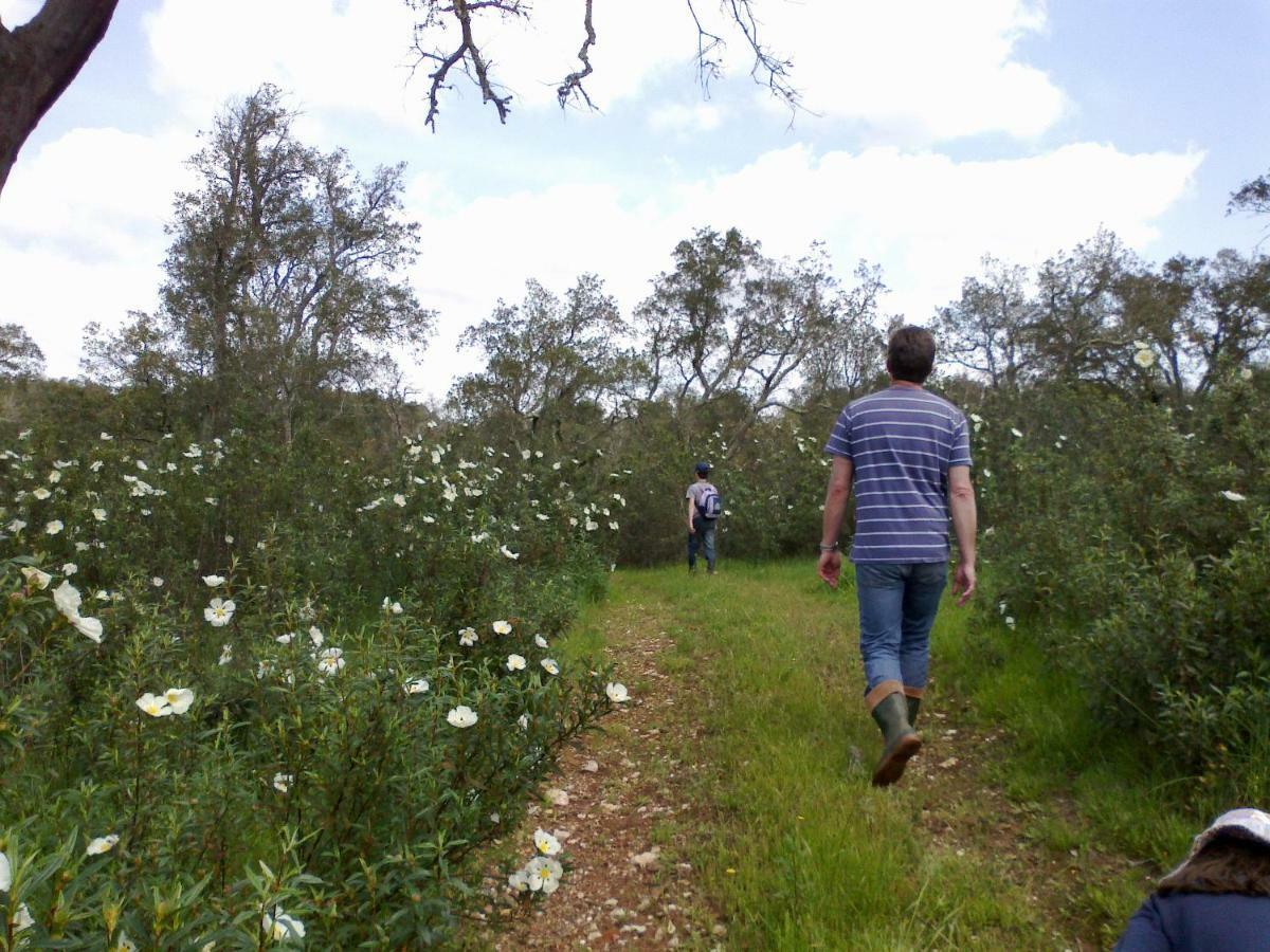 Village Loft Cercal do Alentejo المظهر الخارجي الصورة